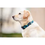 chaba-obroza-regulowana-carnival-m-25-42cm-stan-nowy