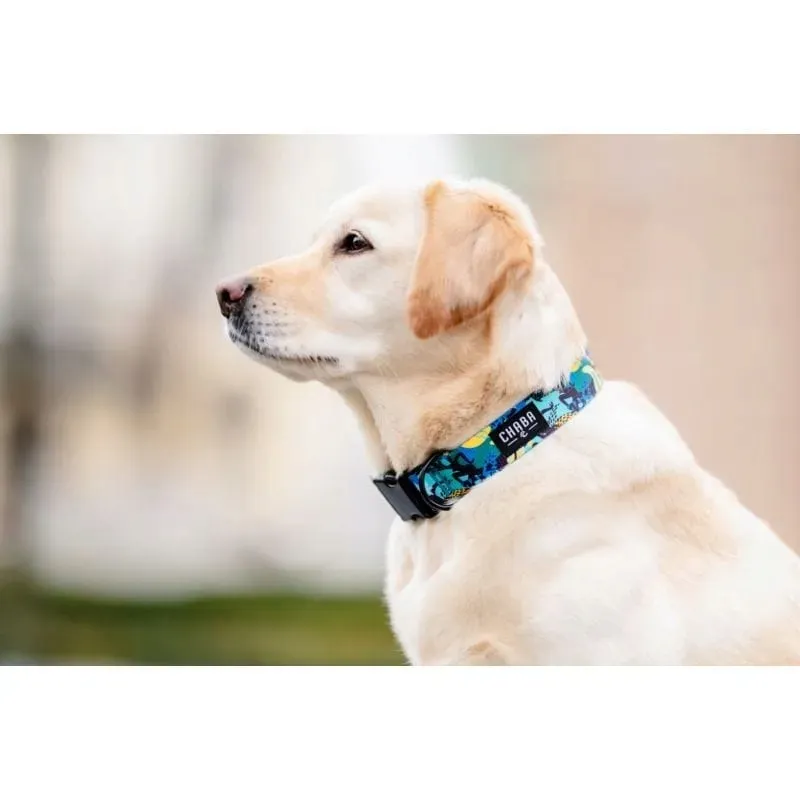 chaba-obroza-regulowana-carnival-m-25-42cm-stan-nowy