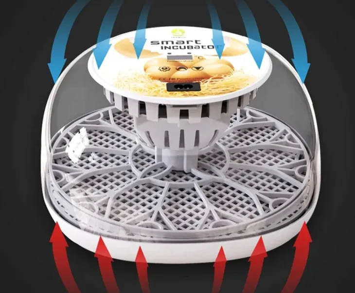 inkubator-do-jaj-papug-i-ptakow-kod-producenta-0000001560