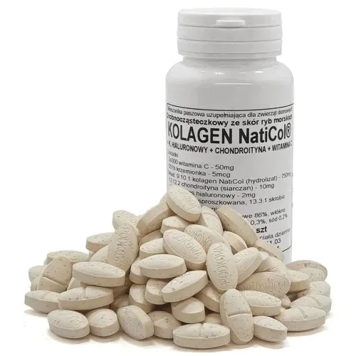 PODKOWA NatiCol Kolagen + Kwas Hialuronowy + Chondroityna + Wit.C