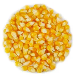 popcorn-5kg-doypack