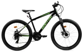 rower-mtb-goetze-terra-1-0-26