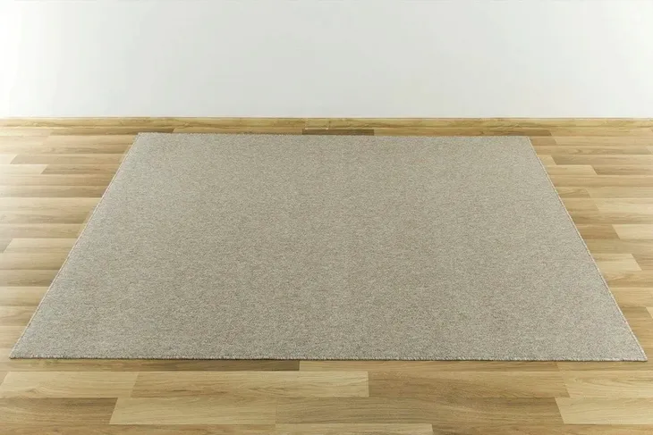 dywan-petelkowy-bezowy-do-salonu-sypialni-trwaly-tani-vienna-200x300-cm-kolor-bezowy-kod-produktu-w-vienna-70-beige