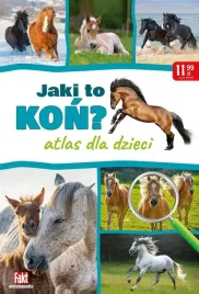 bulki-bagietki-bajgle-domowy-wypiek-fakt-radzi