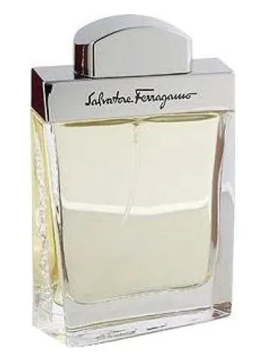salvatore ferragamo salvatore ferragamo pour homme