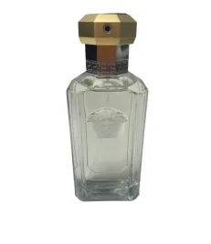versace-the-dreamer-100ml