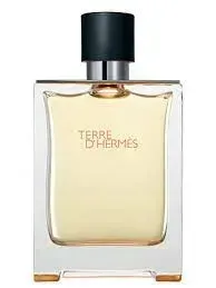 hermes-terre-d-hermes-100-ml-flakon