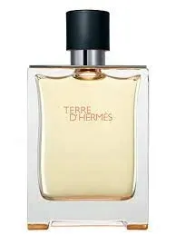 hermes-terre-d-hermes-100-ml-flakon