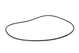 oring-160-25-dyfra-tylnego-can-am-dyfer-xmr-705501711-oem