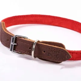 skorzana-obroza-dla-psa-kota-regulowana-naturalna-skora-kolory-r-s