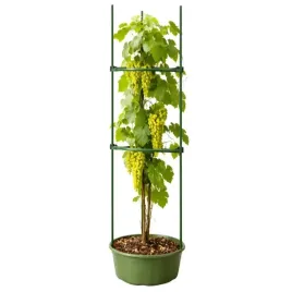 tyczka-podpora-do-roslin-trojkatna-120-cm-stabilna-ogrod-dzialka