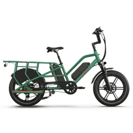 rower-elektryczny-miejski-cargo-jobobike-transer-zielony