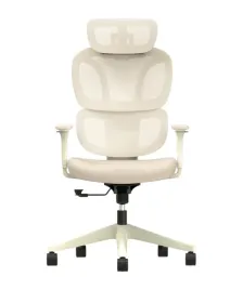 ergonomiczne-krzeslo-biurowe-bs5-morela-siatkowe-bez-podnozka-flexispot