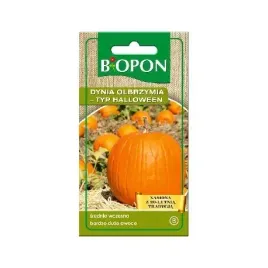 bopon-3g-nasiona-dynia-olbrzymia-halloween-278
