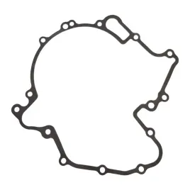 uszczelka-alternatora-tgb-1000-910052-oem