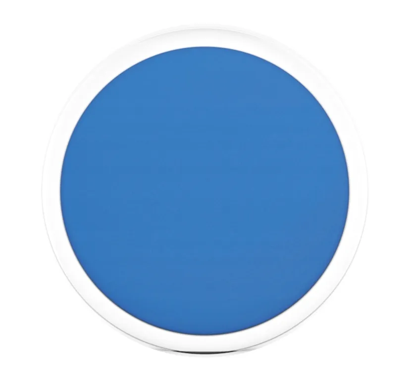 czujnik-temperatury-blue-maestro-tempo-disc