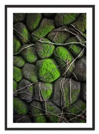 obraz-plakat-w-ramie-53x73-cm-boho-p2221