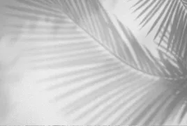 fototapeta-380x254-flizelina-boho-f050-sf