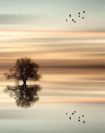 fototapeta-190x254-flizelina-drzewo-f112-sf
