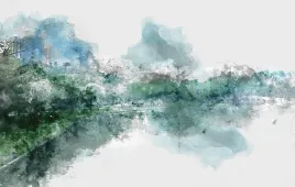 fototapeta-380x254-flizelina-las-f086-sf