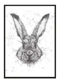 obraz-plakat-w-ramie-33x43-cm-zajac-pd318