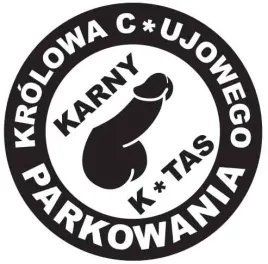 karne-naklejki-etykiety-karny-k-tas-100szt-xl-kk12