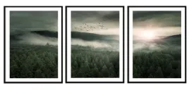 obraz-plakat-w-ramie-53x73cm-tryptyk-komplet-3-obrazow-pejzaz-las-p2036