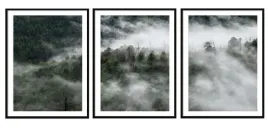 obraz-plakat-w-ramie-53x73cm-tryptyk-komplet-3-obrazow-las-pejzaze-p2034