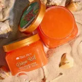 peeling-do-ciala-tree-hut-bikini-reef-510-g-wielkosc-produkt-pelnowymiarowy