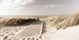 fototapeta-500x254-tapeta-na-flizelinie-boho-f039