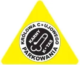 karne-naklejki-etykiety-karny-k-tas-100szt-xl-kk34