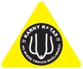karne-naklejki-etykiety-karny-k-tas-100szt-xl-kk42