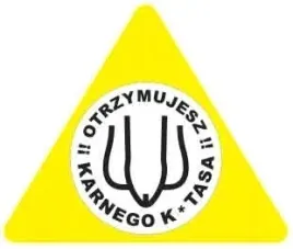 karne-naklejki-etykiety-karny-k-tas-100szt-xl-kk37