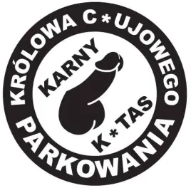 karne-naklejki-etykiety-karny-k-tas-100szt-xl-kk12