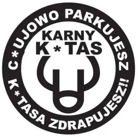 karne-naklejki-etykiety-karny-k-tas-100szt-xl-kk04