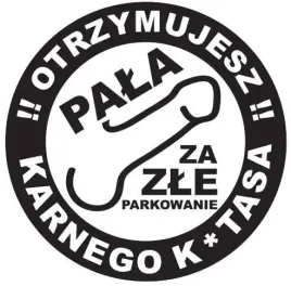 karne-naklejki-etykiety-karny-k-tas-100szt-xl-kk09