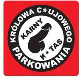 karne-naklejki-etykiety-karny-k-tas-100szt-xl-kk26