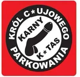 karne-naklejki-etykiety-karny-k-tas-100szt-xl-kk25