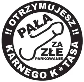 karne-naklejki-etykiety-karny-k-tas-100szt-xl-kk09