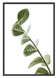 obraz-plakat-bez-ramy-50x70-cm-boho-p2214-duzy