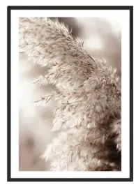 obraz-plakat-bez-ramy-53x73-cm-boho-p2117-duzy