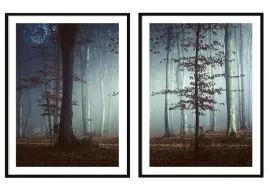 obraz-plakaty-w-ramie-53x73cm-dyptyk-las-p2091