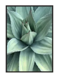 obraz-plakat-w-ramie-53x73-cm-liscie-p1035