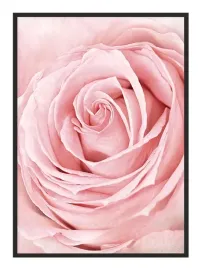 obraz-plakat-rama-53x73-cm-kwiat-p1952