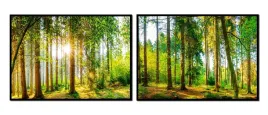 obraz-plakaty-w-ramie-53x73cm-dyptyk-komplet-2-obrazow-las-drzewa-p1011