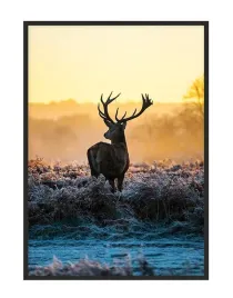 obraz-plakat-w-ramie-53x73-cm-jelen-p1508