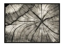 obraz-plakat-w-ramie-53x73-cm-drewno-p1688