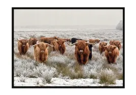 obraz-plakat-w-ramie-33x43-cm-highlander-p1414