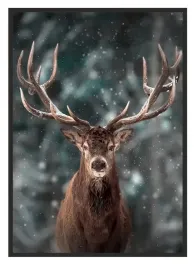obraz-plakat-w-ramie-53x73-cm-jelen-p1899