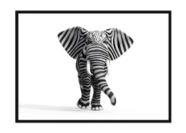 obraz-plakat-w-ramie-53x73-cm-slon-pd340